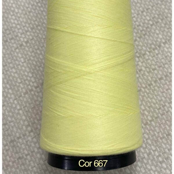 LINHA AMARELO BEBE COR 667