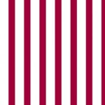 Smart Vermelho Cor 01