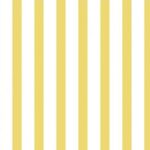 Smart Amarelo Cor 17