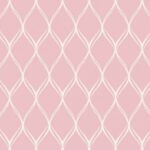 Rosa Cor 01