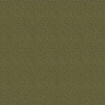 Verde Musgo Cor 15