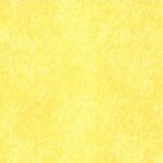 Amarelo Cor 15