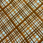 Terra Cotta