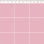 Rose Com Branco