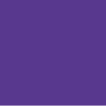 41 Violeta
