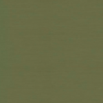 Liso Verde Oliva Cor 11829