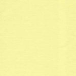Creme Liso1031